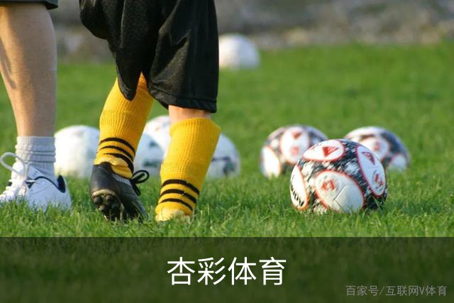 杏彩体育公司介绍